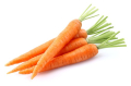 Carrot