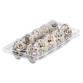 Abs Quail Eggs  10nos